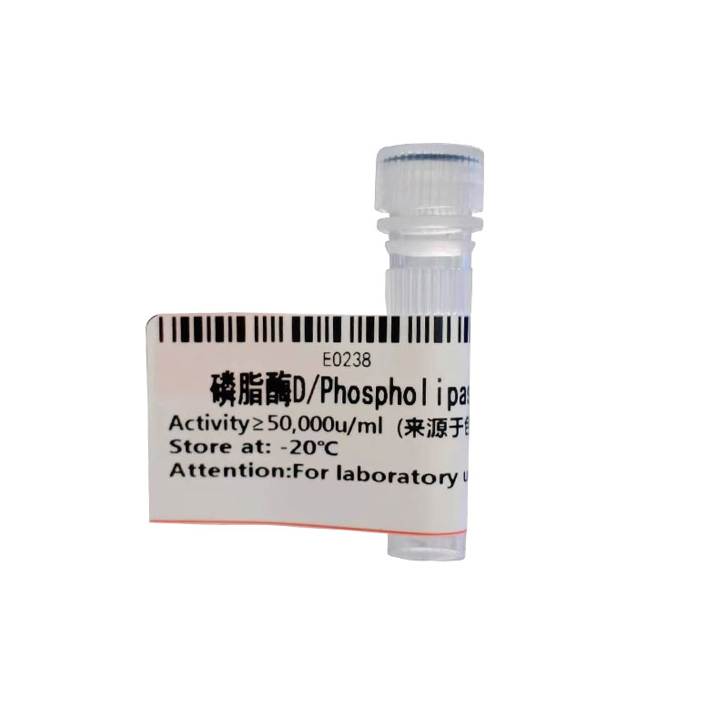 磷脂酶D