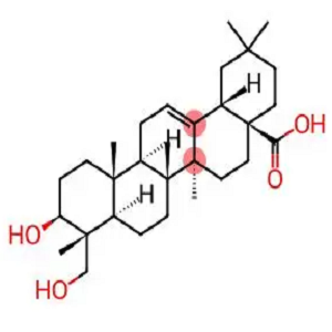 Hederagenin-Biotin，生物素-常春藤皂苷元