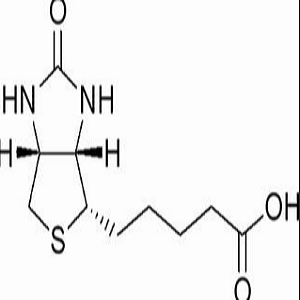 Protein A-Biotin,蛋白A修饰生物素
