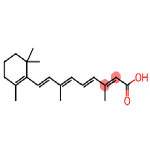 Retinoic acid-Biotin,维生素A酸-生物素