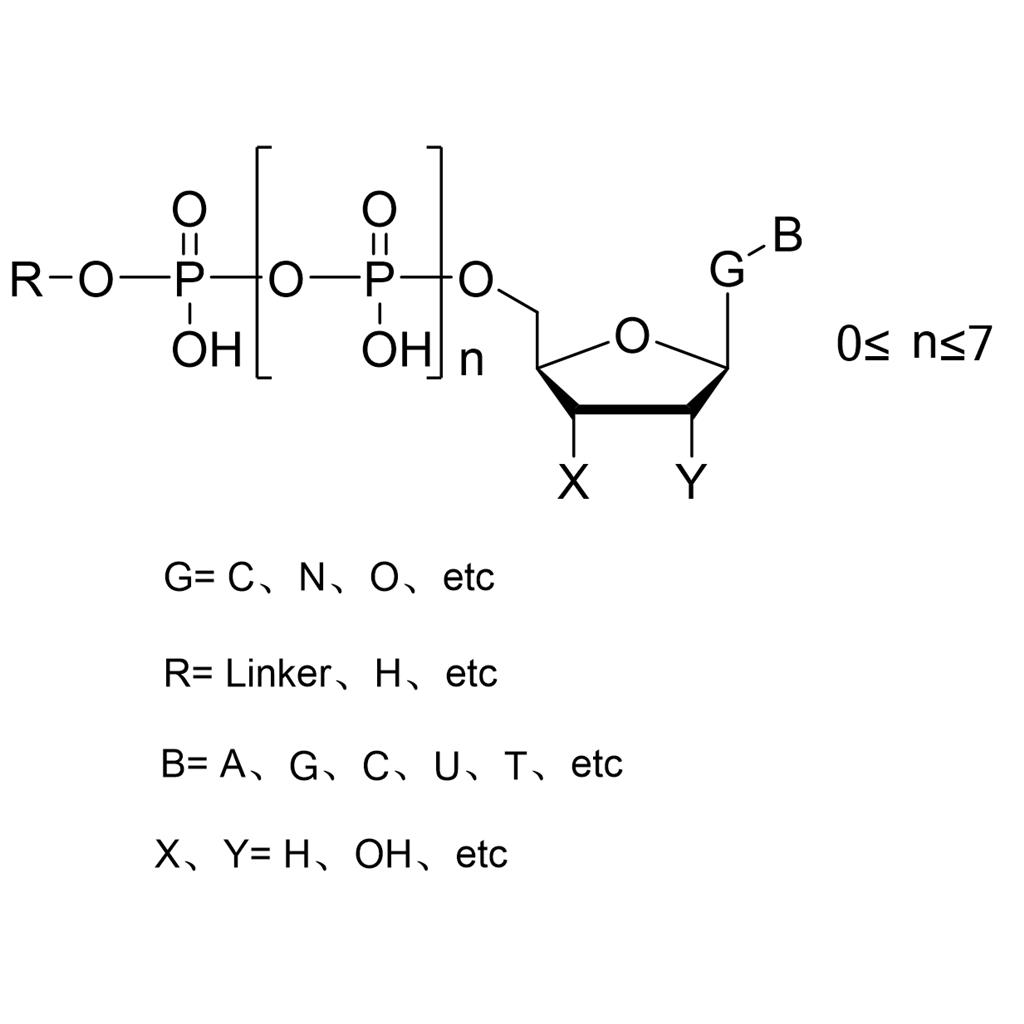 正己胺修饰的脱氧胞苷六磷酸