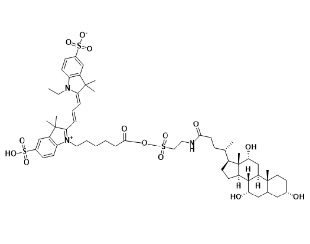 CY3-牛磺胆酸/CY3-TaurocholicAcid/Taurocholic Acid-Cyanine3 conjugate/橙色荧光标记胆汁酸探针