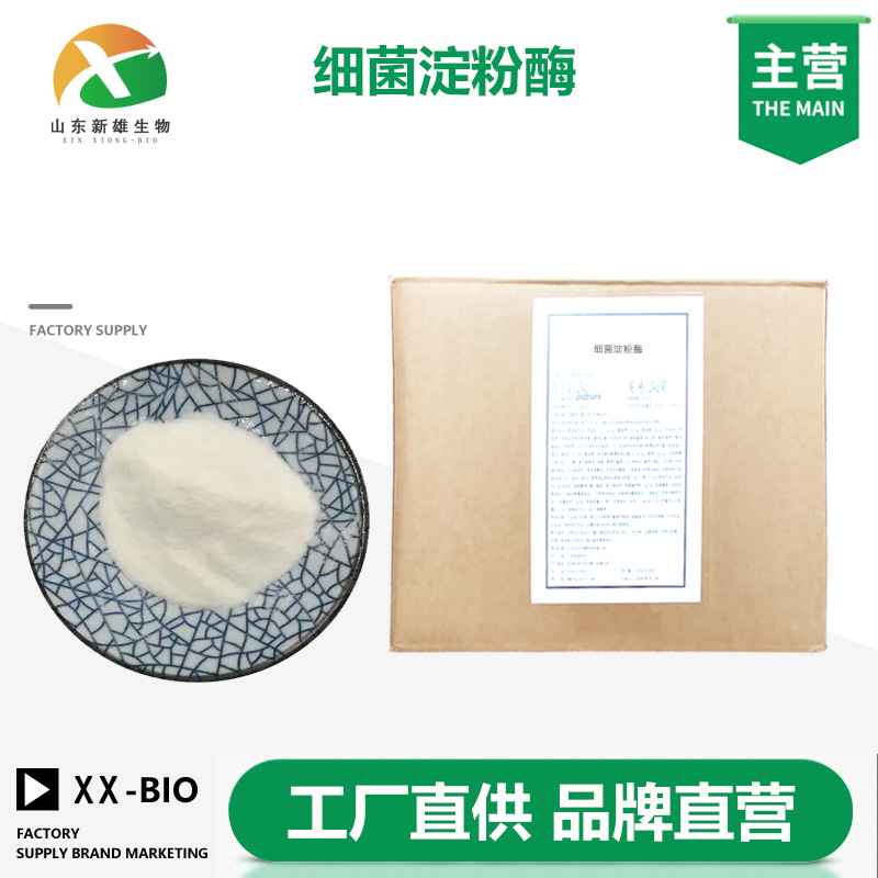 细菌淀粉酶厂家