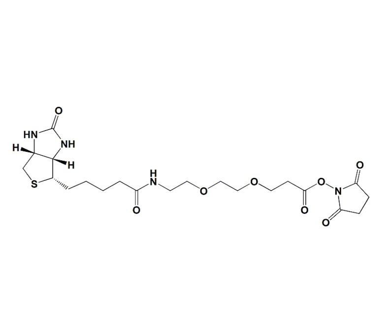 生物素-PEG2-琥珀酰亚胺酯