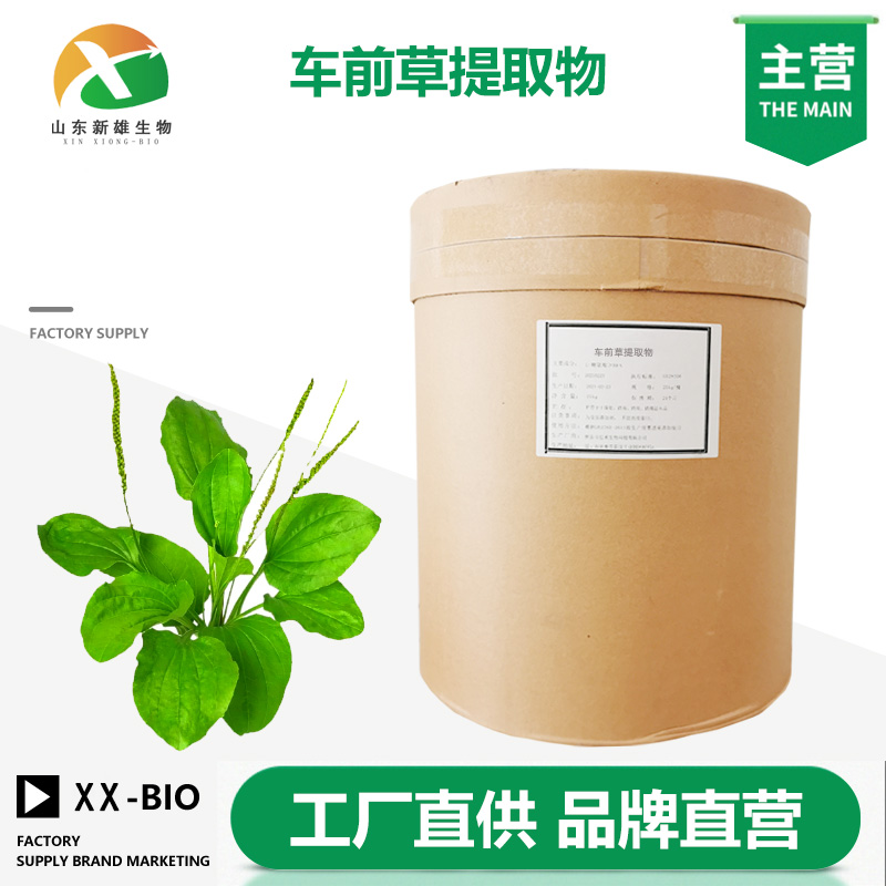 车前草提取物厂家