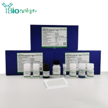 人C4结合蛋白β链(C4BPB)ELISA试剂盒 YB72331Hu