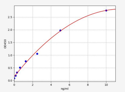 人钙/钙调蛋白依赖性蛋白激酶IIα(CAMK2α)ELISA试剂盒 YB72254Hu