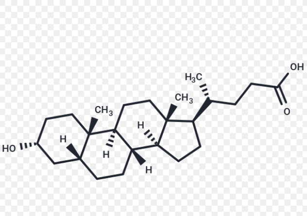 CY5-石胆酸/CY5-LITHOCHOLIC ACID/Lithocholic Acid-Cyanine5 conjugate/CY5-LCA/近红外荧光标记次级胆汁酸探针