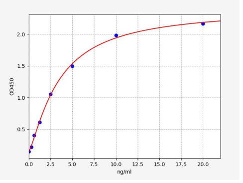 人金属硫蛋白1E(MT1E)ELISA试剂盒 YB73218Hu