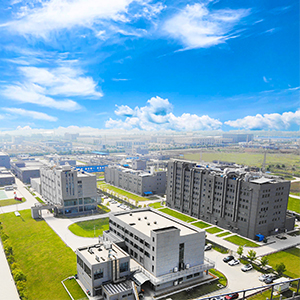 奥格列龙中间体 2212021-83-3