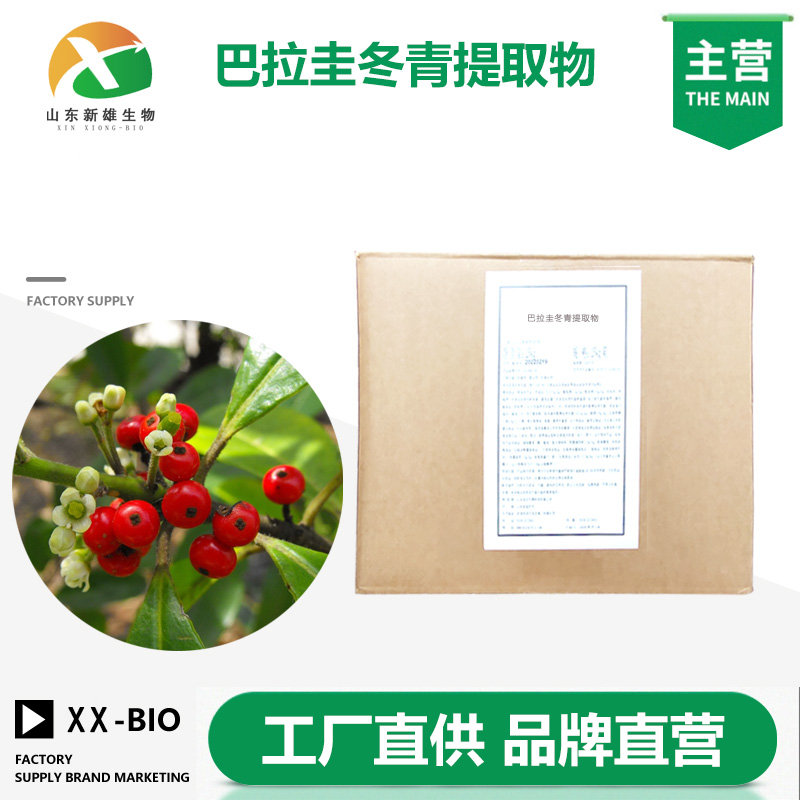 巴拉圭冬青提取物生产厂家