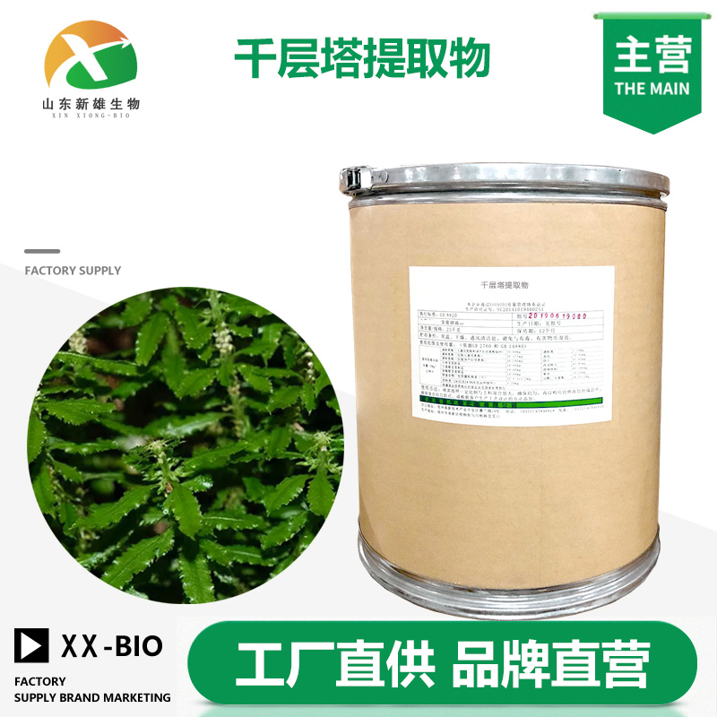 千层塔提取物生产厂家