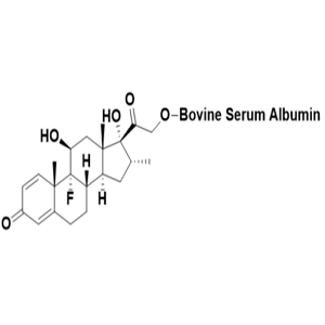 Dextran-BSA，葡聚糖修饰牛血清白蛋白