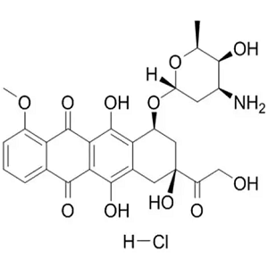 DOX-MAL，马来酰亚胺功能化阿霉素