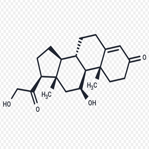 Corticosterone-BSA，皮质酮偶联牛血清白蛋白