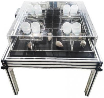 平台式睡眠剥夺