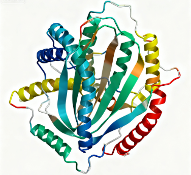 原核大肠杆菌重组蛋白