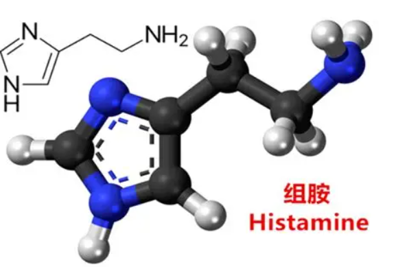 Histamine-BSA，组胺偶联牛血清蛋白