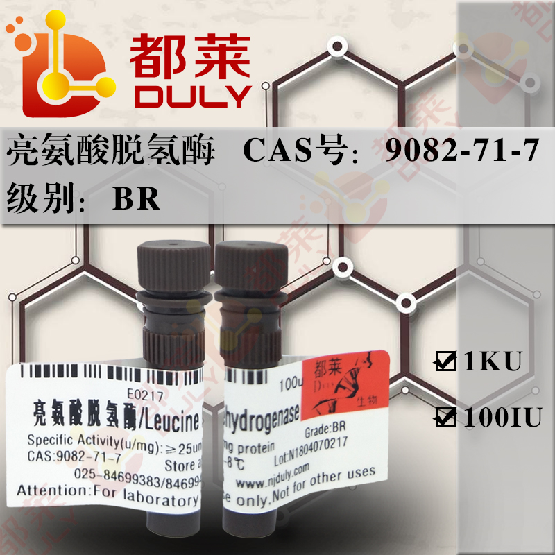 亮氨酸脱氢酶