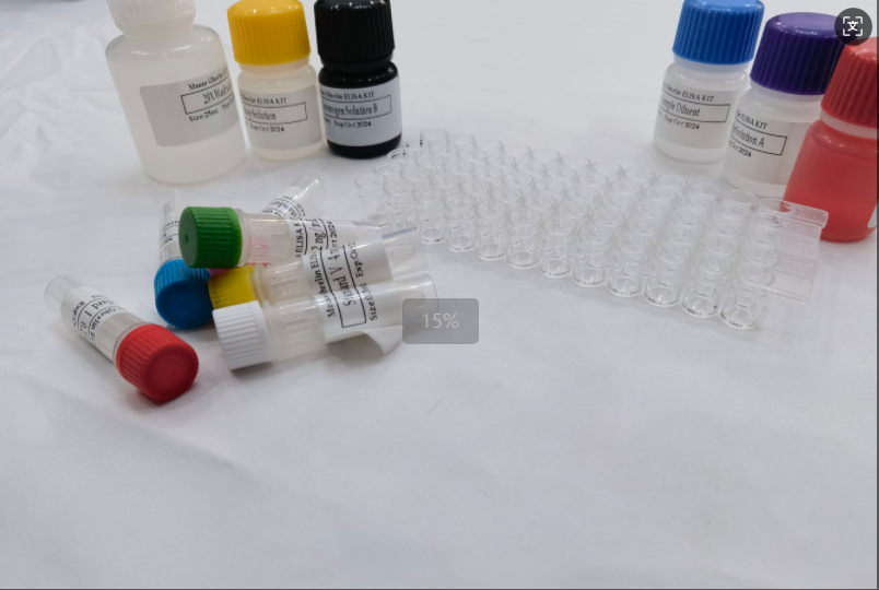 兔丙氨酸氨基转移酶（ALT）elisa试剂盒