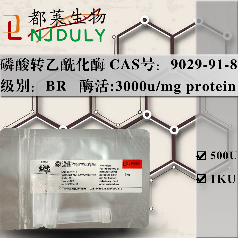 磷酸转乙酰化酶