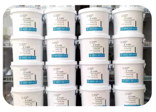 还原型烟酰胺腺嘌呤二核苷酸 