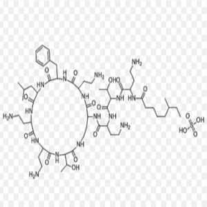 Polymyxin B sulfate-OVA，多粘菌素-OVA