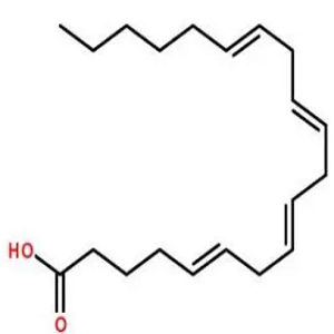 Camptothecin-Arachidonic acid，喜树碱-花生四烯酸