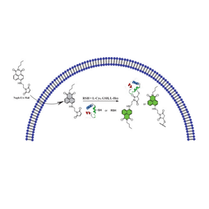 HS巯基化重组蛋白A，Protein A-Thiol, HS