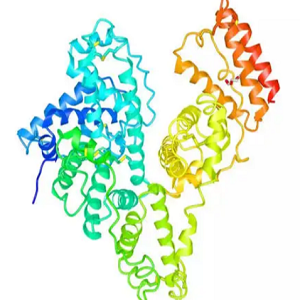 FA-BSA-Cy7，叶酸-牛血清白蛋白Cy7标记物