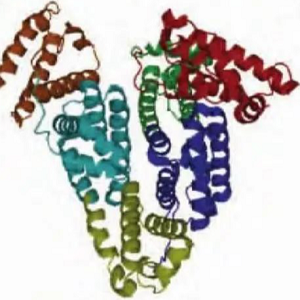 FA-HSA-Cy7，叶酸-人血清白蛋白Cy7标记物