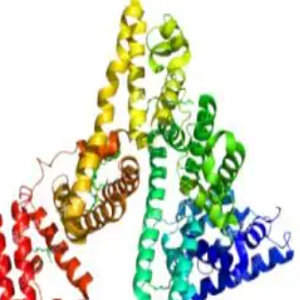 FA-HSA-Cy5.5，叶酸-人血清白蛋白Cy5.5标记物