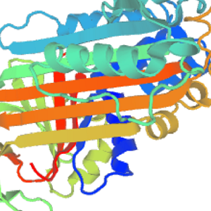 Estriol-OVA Conjugate，雌三醇-鸡卵清白蛋白偶联物