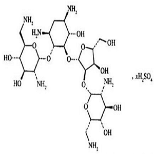 Neomycin-HRP Conjugate，新霉素-过氧化物酶标记物