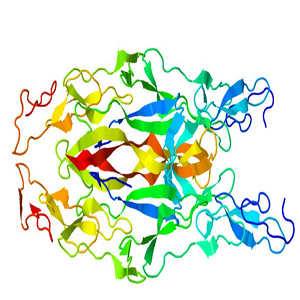 Prostaglandin E2-OVA Conjugate，前列腺素E2-鸡卵清白蛋白偶联物，PGE2-OVA