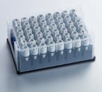 CD3γε二聚体真核蛋白&Mouse CD3E*CD3G二聚体真核蛋白表达