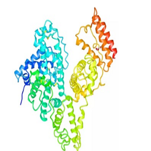 Dexamethasone-BSA Conjugate，地塞米松-牛血清白蛋白偶联物
