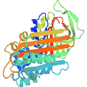 Testosterone-OVA Conjugate，孕酮-鸡卵清白蛋白偶联物