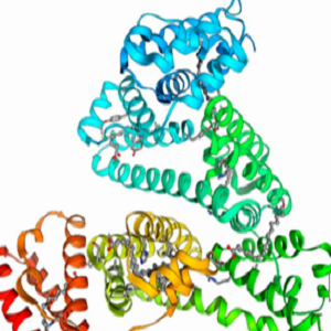 Vitamin B6-BSA Conjugate，维生素B6-牛血清白蛋白偶联物