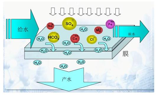 水处理机理.png 水处理机理.png