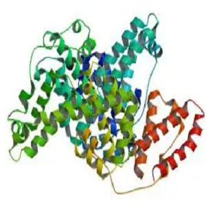 Vitamin A-BSA Conjugate，维生素A-牛血清白蛋白偶联物