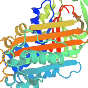 Cholecalciferol-OVA Conjugate，胆钙化醇-鸡卵清白蛋白偶联物