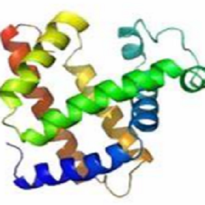 Niacin-BSA Conjugate，烟酸-牛血清白蛋白偶联物