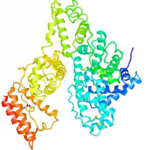 Huperzine-BSA Conjugate，石杉碱甲-牛血清白蛋白偶联物