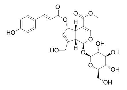 (E)-6-O-对香豆酰鸡屎藤次苷甲酯，(E)-6-O-(p-coumaroyl)scandoside methyl ester，83946-90-1