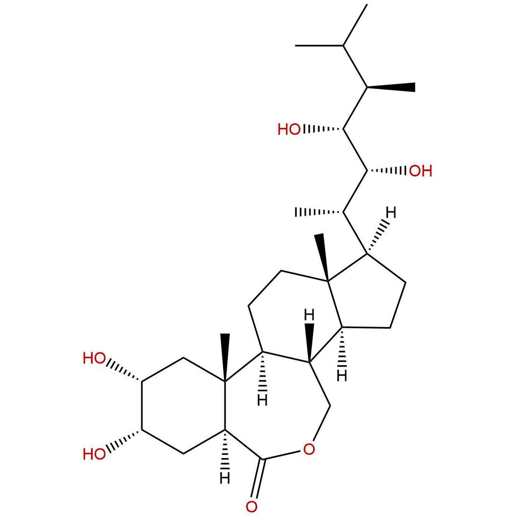 24-表芸苔素内酯，24-Epicastasterone，78821-43-9
