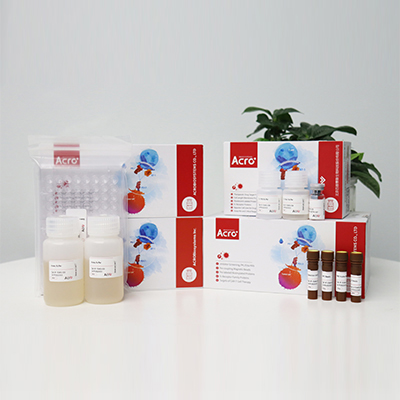 人IL-1 beta / IL-1F2蛋白, His,Avitag