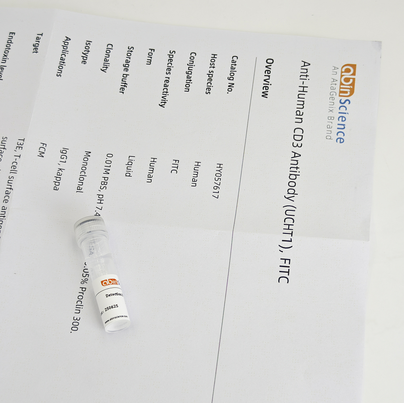 Anti-DNA/RNA G-quadruplex Structures  Antibody (BG4)