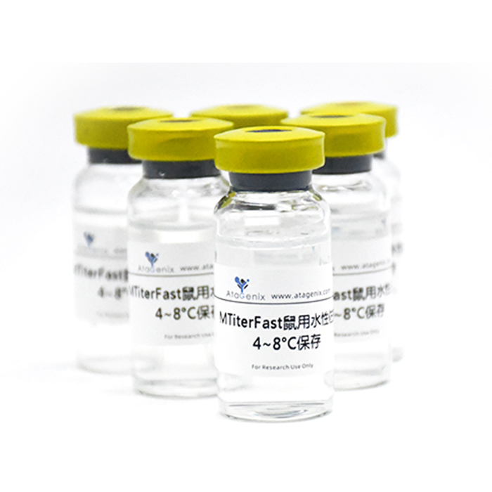 Anti-DNA/RNA G-quadruplex Structures  Antibody (BG4)