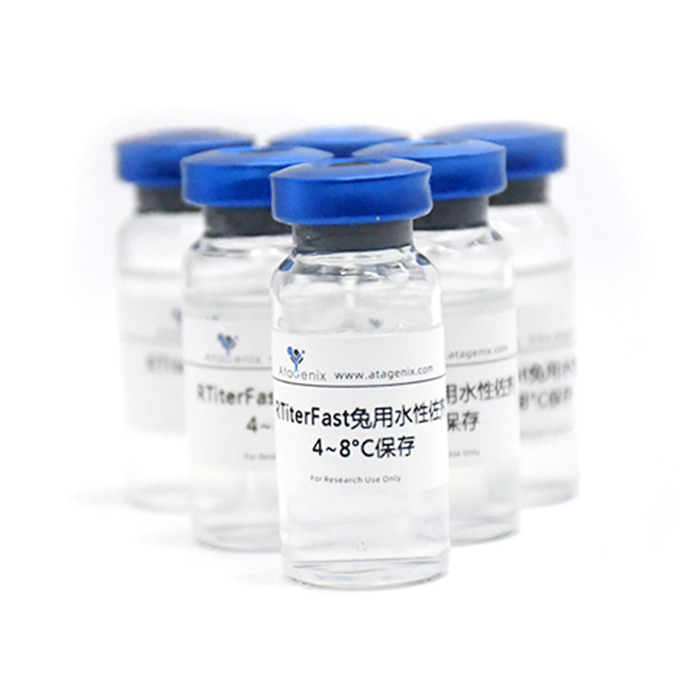 Anti-DNA/RNA G-quadruplex Structures  Antibody (BG4)